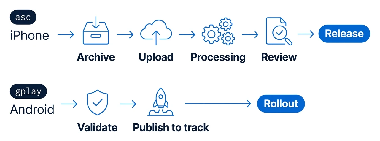 With asc, an iPhone build goes through archive, upload, processing, review and release. With gplay, an Android build goes through validate, publish to track and rollout.