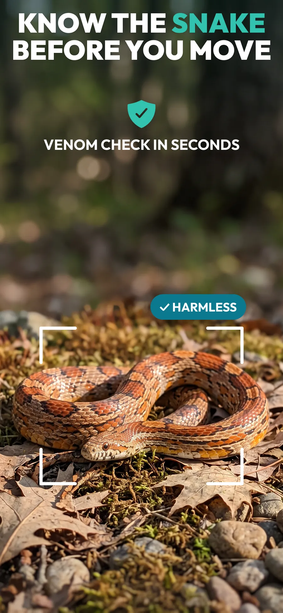 Primo Snake App Store screenshot 1