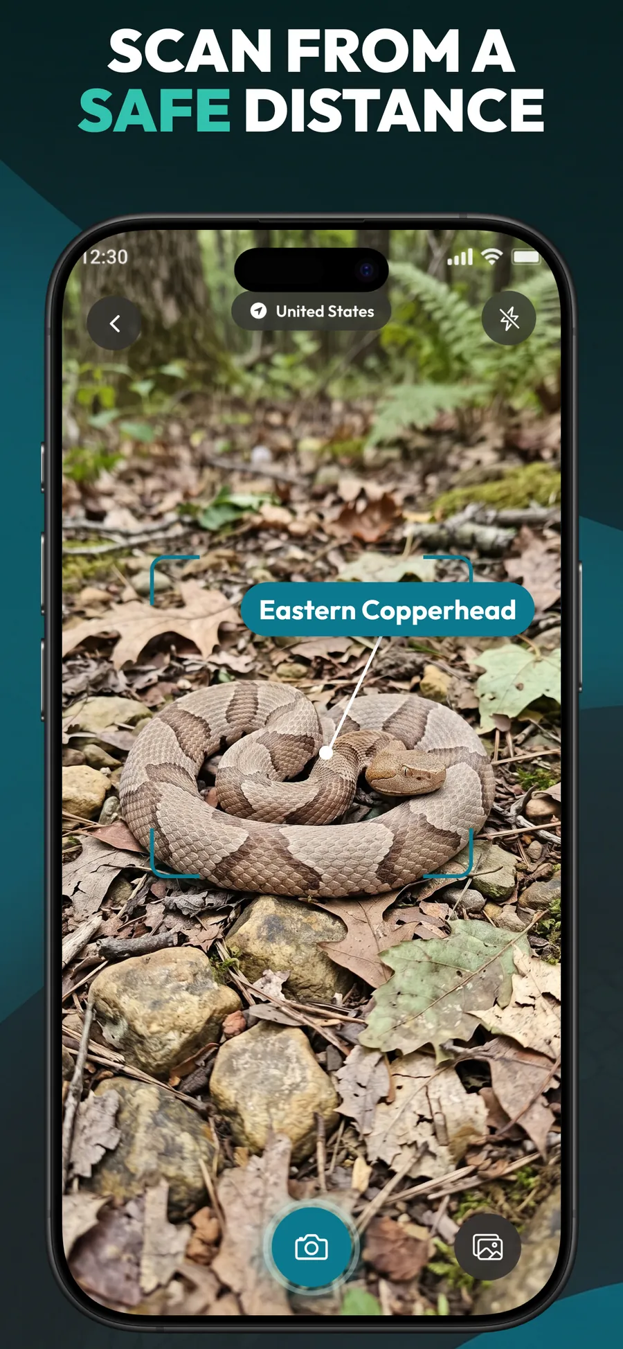 Primo Snake App Store screenshot 2
