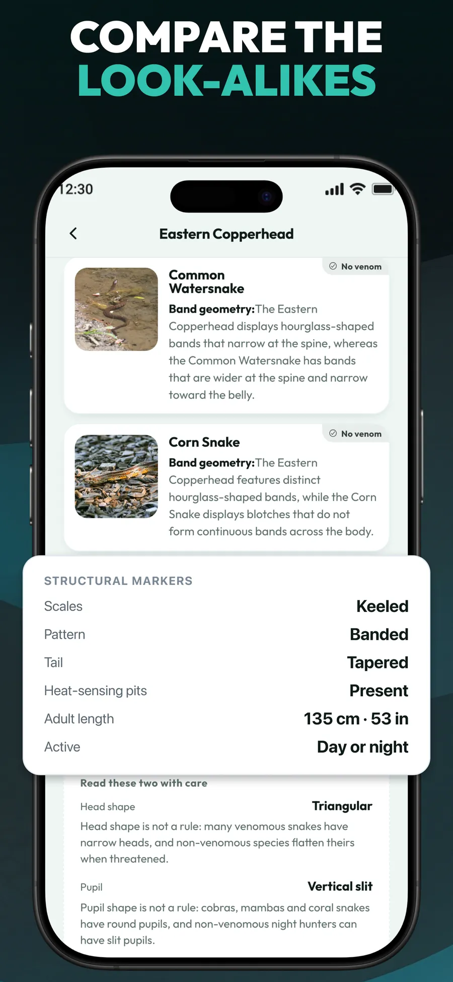 Primo Snake App Store screenshot 4