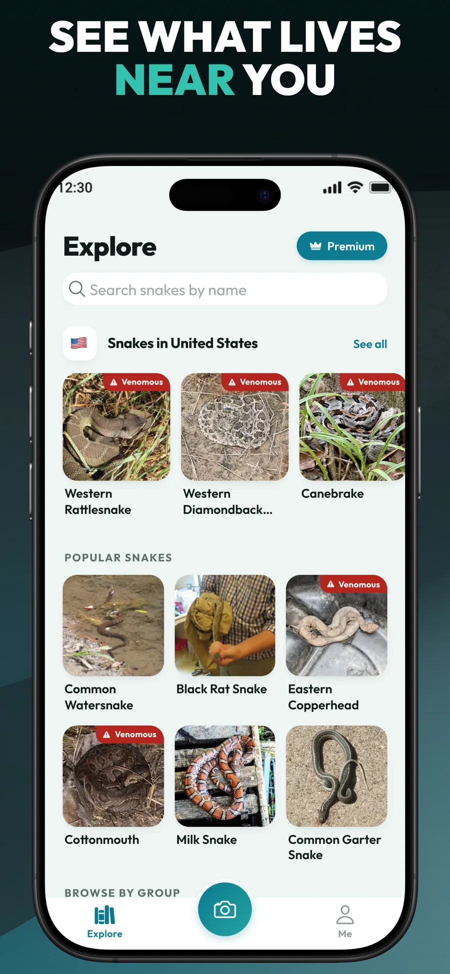 Primo Snake App Store screenshot 5