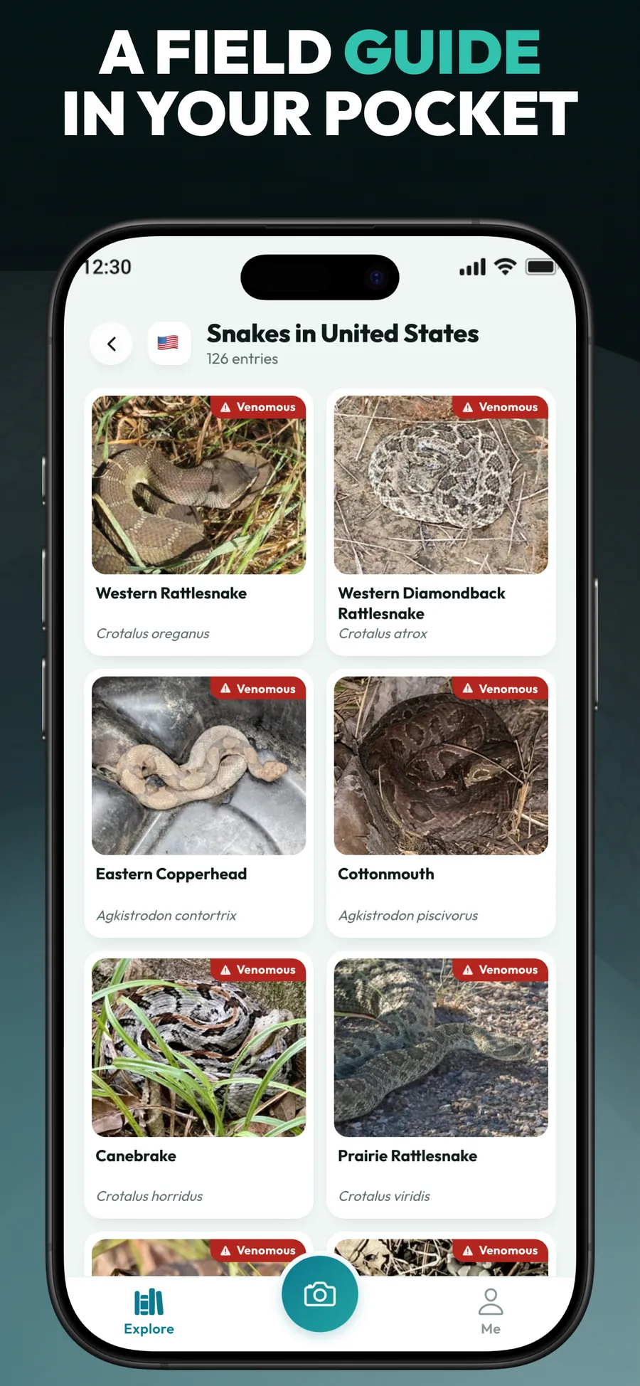 Primo Snake App Store screenshot 6